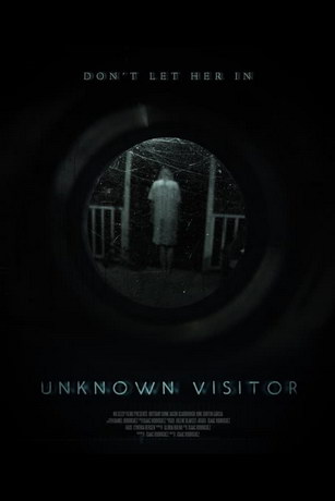 Незнакомый гость (2019)